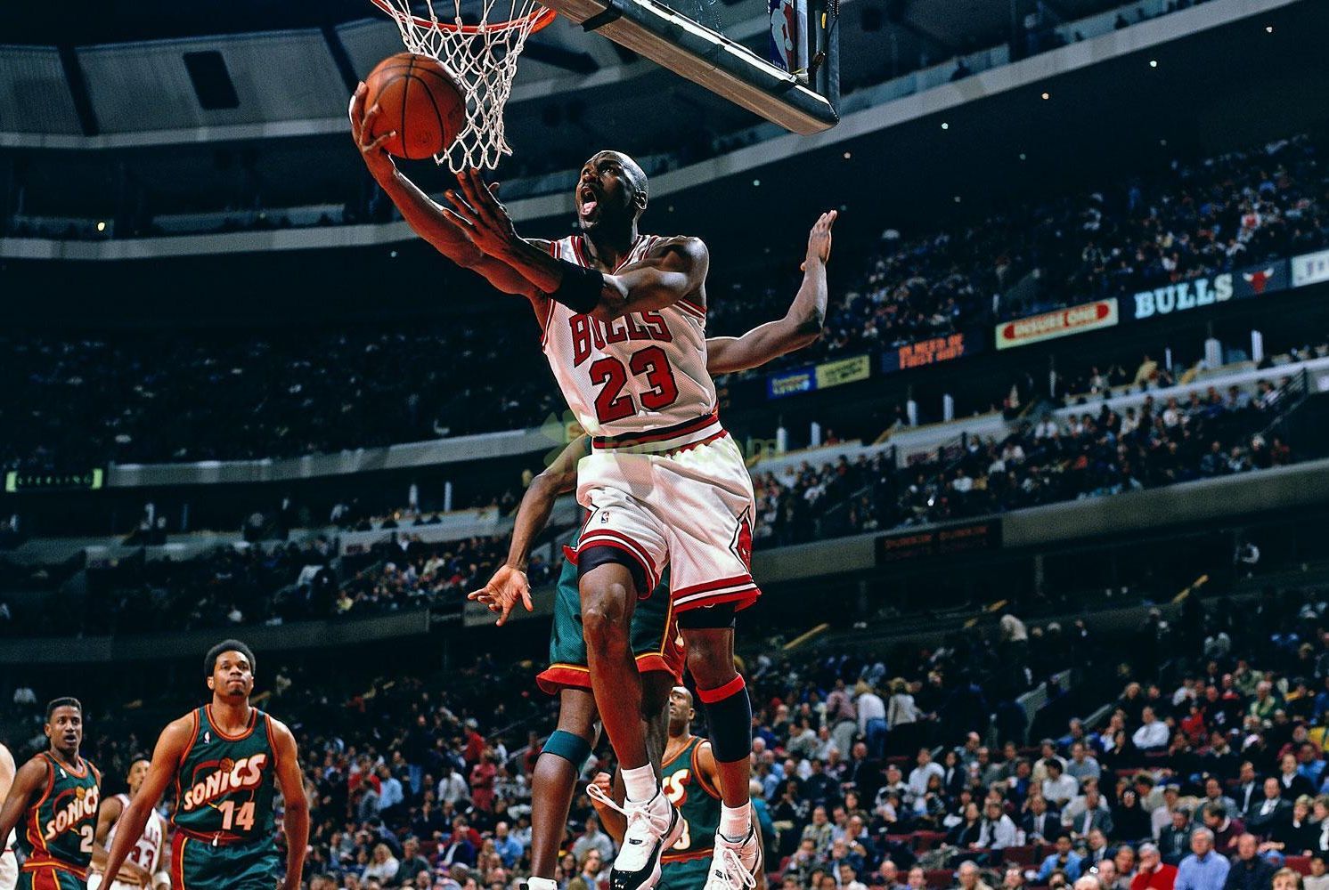 發揮自己的 發揮自己的