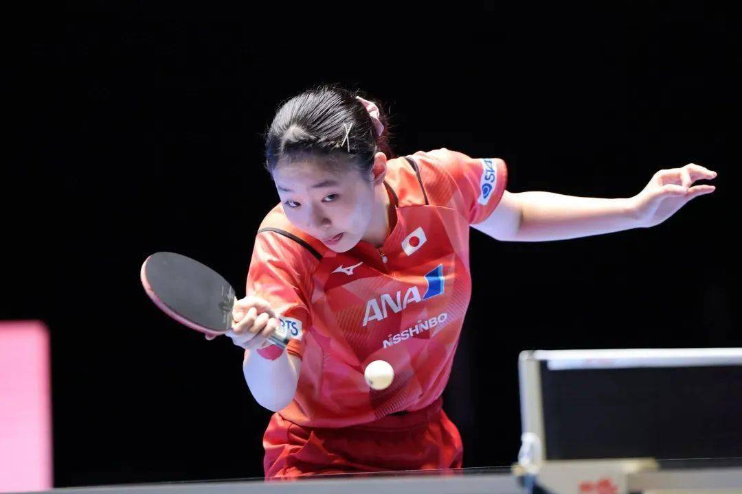 认知的可迁 认知的可迁